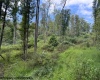 TBD Massie Hollow Road, Rivesville, West Virginia 26588, 0 , 0 ,0,Lots/land,For Sale,Massie Hollow,0,10166948