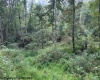 TBD Massie Hollow Road, Rivesville, West Virginia 26588, 0 , 0 ,0,Lots/land,For Sale,Massie Hollow,0,10166948