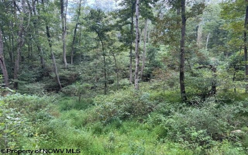 TBD Massie Hollow Road, Rivesville, West Virginia 26588, 0 , 0 ,0,Lots/land,For Sale,Massie Hollow,0,10166948
