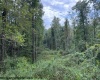 TBD Massie Hollow Road, Rivesville, West Virginia 26588, 0 , 0 ,0,Lots/land,For Sale,Massie Hollow,0,10166948