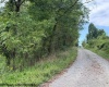 TBD Massie Hollow Road, Rivesville, West Virginia 26588, 0 , 0 ,0,Lots/land,For Sale,Massie Hollow,0,10166948