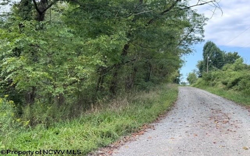 TBD Massie Hollow Road, Rivesville, West Virginia 26588, 0 , 0 ,0,Lots/land,For Sale,Massie Hollow,0,10166948