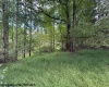 TBD Massie Hollow Road, Rivesville, West Virginia 26588, 0 , 0 ,0,Lots/land,For Sale,Massie Hollow,0,10166948
