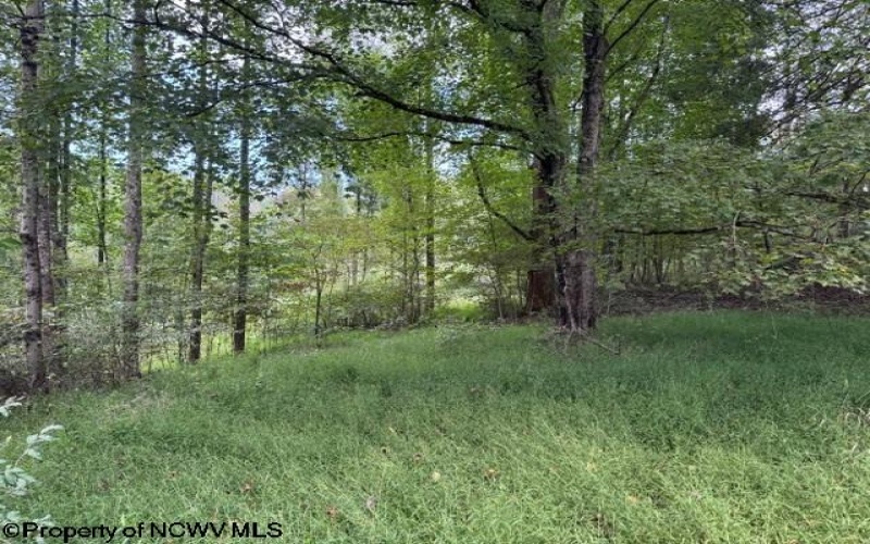 TBD Massie Hollow Road, Rivesville, West Virginia 26588, 0 , 0 ,0,Lots/land,For Sale,Massie Hollow,0,10166948