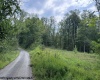 TBD Massie Hollow Road, Rivesville, West Virginia 26588, 0 , 0 ,0,Lots/land,For Sale,Massie Hollow,0,10166948