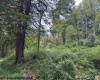 TBD Massie Hollow Road, Rivesville, West Virginia 26588, 0 , 0 ,0,Lots/land,For Sale,Massie Hollow,0,10166948
