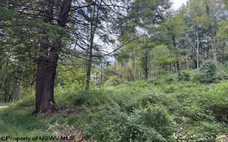 TBD Massie Hollow Road, Rivesville, West Virginia 26588, 0 , 0 ,0,Lots/land,For Sale,Massie Hollow,0,10166948