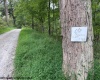 TBD Massie Hollow Road, Rivesville, West Virginia 26588, 0 , 0 ,0,Lots/land,For Sale,Massie Hollow,0,10166948