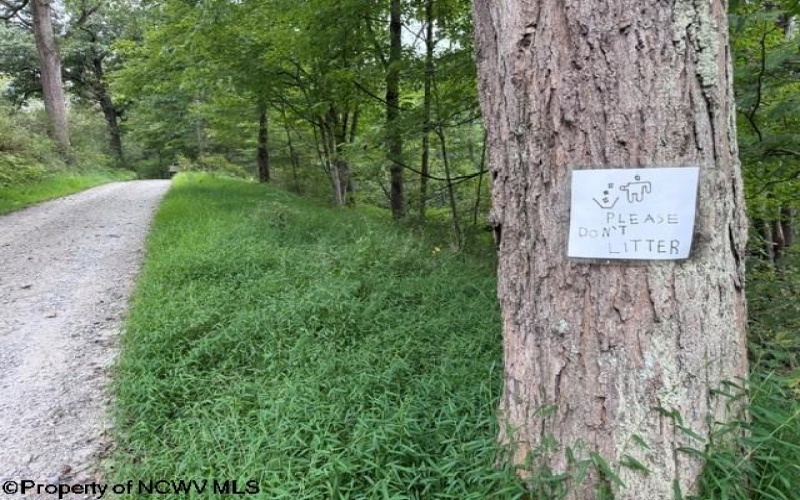 TBD Massie Hollow Road, Rivesville, West Virginia 26588, 0 , 0 ,0,Lots/land,For Sale,Massie Hollow,0,10166948