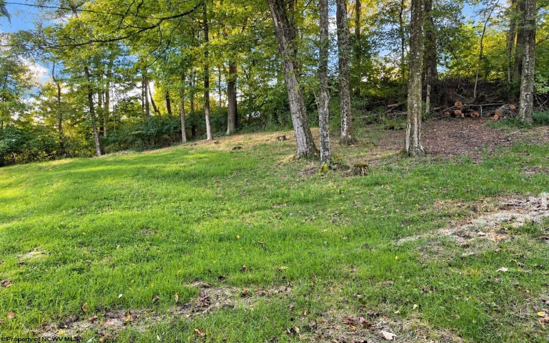 2052 Purinton Street, Morgantown, West Virginia 26505, 4 Bedroom Bedrooms, 10 Room Rooms,3 BathroomBathrooms,Single Family Detached,For Sale,Purinton,0,10166956