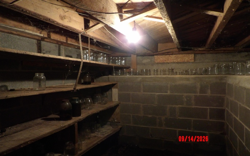 696 Crawford Road, Crawford, West Virginia 26447, 4 Bedroom Bedrooms, 7 Room Rooms,1 BathroomBathrooms,Single Family Detached,For Sale,Crawford,0,10166955