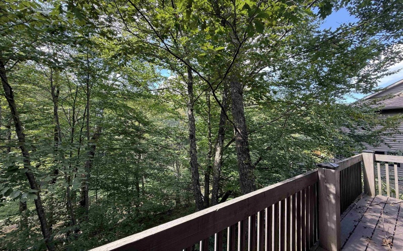 209 Aaron Smith Drive, Bridgeport, West Virginia 26330, 3 Bedroom Bedrooms, 5 Room Rooms,3 BathroomBathrooms,Residential Rentals,For Rent,Aaron Smith,0,10166966