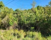 TBD HEAVENER Avenue, Stonewood, West Virginia 26301, 0 , 0 ,0,Lots/land,For Sale,HEAVENER,0,10166972