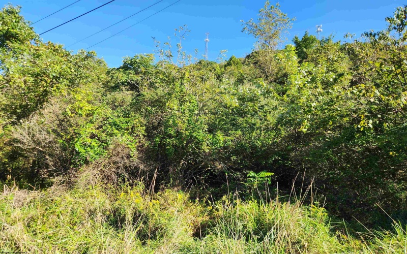 TBD HEAVENER Avenue, Stonewood, West Virginia 26301, 0 , 0 ,0,Lots/land,For Sale,HEAVENER,0,10166972