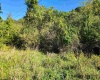 TBD HEAVENER Avenue, Stonewood, West Virginia 26301, 0 , 0 ,0,Lots/land,For Sale,HEAVENER,0,10166972