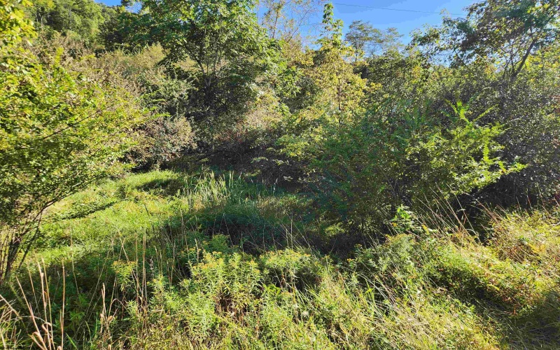 TBD HEAVENER Avenue, Stonewood, West Virginia 26301, 0 , 0 ,0,Lots/land,For Sale,HEAVENER,0,10166972