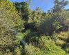 TBD HEAVENER Avenue, Stonewood, West Virginia 26301, 0 , 0 ,0,Lots/land,For Sale,HEAVENER,0,10166972