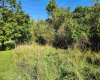 TBD HEAVENER Avenue, Stonewood, West Virginia 26301, 0 , 0 ,0,Lots/land,For Sale,HEAVENER,0,10166972