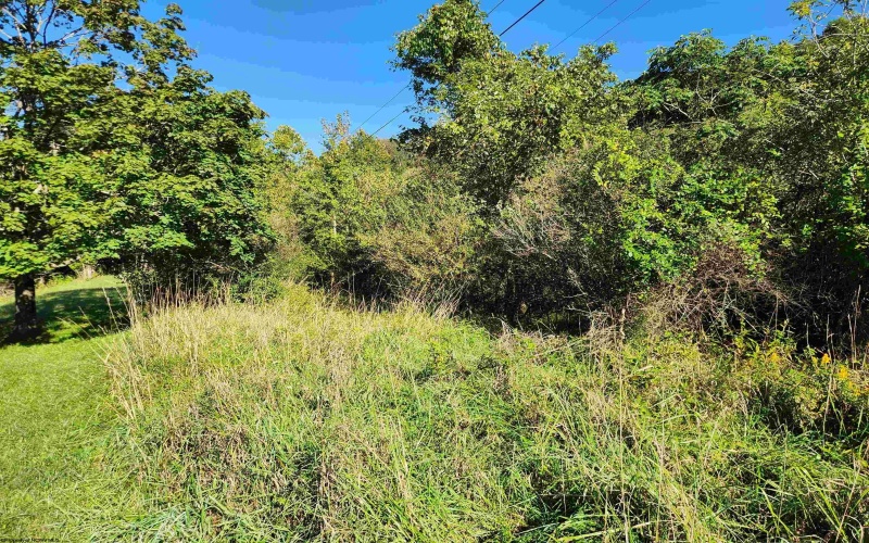 TBD HEAVENER Avenue, Stonewood, West Virginia 26301, 0 , 0 ,0,Lots/land,For Sale,HEAVENER,0,10166972