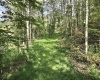 TBD Dutch Hollow Road, Weston, West Virginia 26452, 0 , 0 ,0,Lots/land,For Sale,Dutch Hollow,0,10166977