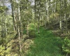 TBD Dutch Hollow Road, Weston, West Virginia 26452, 0 , 0 ,0,Lots/land,For Sale,Dutch Hollow,0,10166977