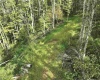 TBD Dutch Hollow Road, Weston, West Virginia 26452, 0 , 0 ,0,Lots/land,For Sale,Dutch Hollow,0,10166977
