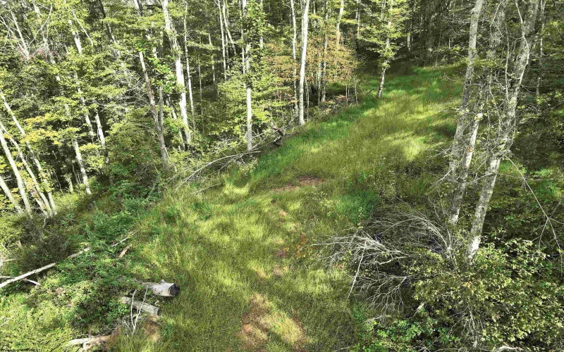 TBD Dutch Hollow Road, Weston, West Virginia 26452, 0 , 0 ,0,Lots/land,For Sale,Dutch Hollow,0,10166977