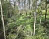 TBD Dutch Hollow Road, Weston, West Virginia 26452, 0 , 0 ,0,Lots/land,For Sale,Dutch Hollow,0,10166977