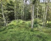 TBD Dutch Hollow Road, Weston, West Virginia 26452, 0 , 0 ,0,Lots/land,For Sale,Dutch Hollow,0,10166977
