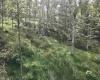 TBD Dutch Hollow Road, Weston, West Virginia 26452, 0 , 0 ,0,Lots/land,For Sale,Dutch Hollow,0,10166977