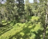 TBD Dutch Hollow Road, Weston, West Virginia 26452, 0 , 0 ,0,Lots/land,For Sale,Dutch Hollow,0,10166977