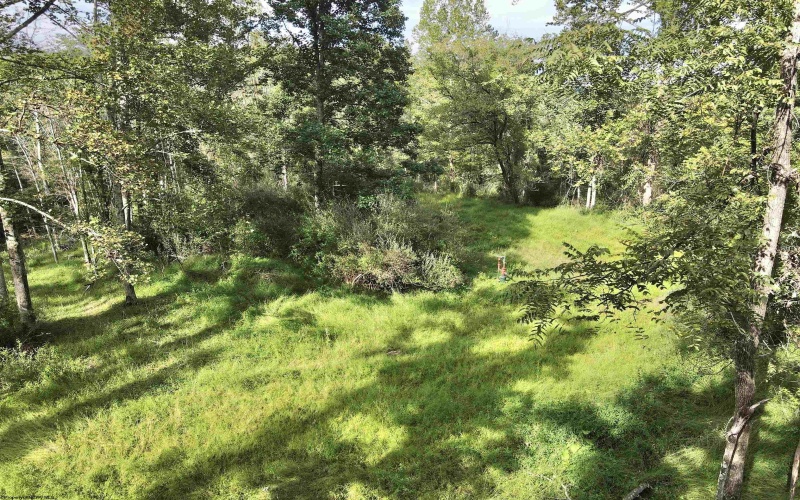 TBD Dutch Hollow Road, Weston, West Virginia 26452, 0 , 0 ,0,Lots/land,For Sale,Dutch Hollow,0,10166977