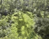 TBD Dutch Hollow Road, Weston, West Virginia 26452, 0 , 0 ,0,Lots/land,For Sale,Dutch Hollow,0,10166977