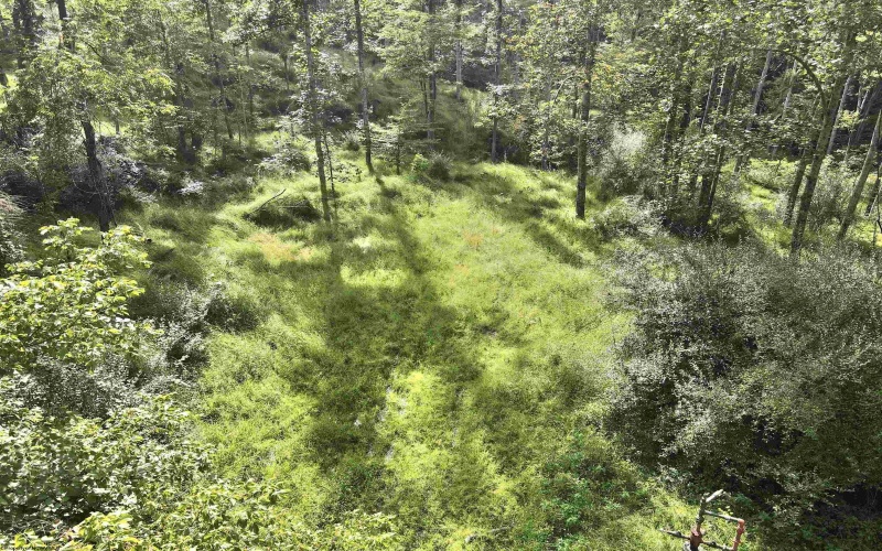 TBD Dutch Hollow Road, Weston, West Virginia 26452, 0 , 0 ,0,Lots/land,For Sale,Dutch Hollow,0,10166977