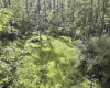 TBD Dutch Hollow Road, Weston, West Virginia 26452, 0 , 0 ,0,Lots/land,For Sale,Dutch Hollow,0,10166977