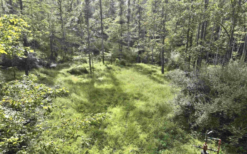 TBD Dutch Hollow Road, Weston, West Virginia 26452, 0 , 0 ,0,Lots/land,For Sale,Dutch Hollow,0,10166977