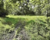 TBD Dutch Hollow Road, Weston, West Virginia 26452, 0 , 0 ,0,Lots/land,For Sale,Dutch Hollow,0,10166977