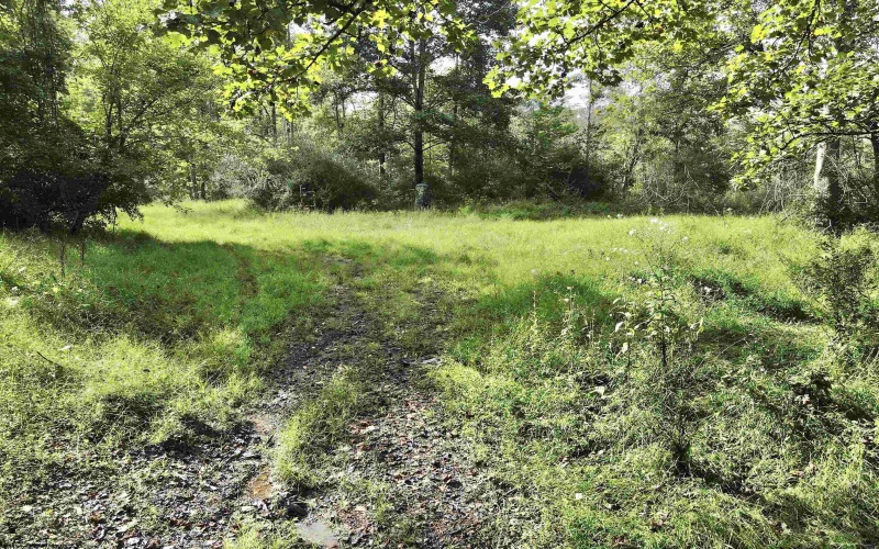 TBD Dutch Hollow Road, Weston, West Virginia 26452, 0 , 0 ,0,Lots/land,For Sale,Dutch Hollow,0,10166977