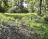 TBD Dutch Hollow Road, Weston, West Virginia 26452, 0 , 0 ,0,Lots/land,For Sale,Dutch Hollow,0,10166977