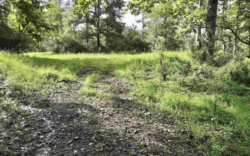 TBD Dutch Hollow Road, Weston, West Virginia 26452, 0 , 0 ,0,Lots/land,For Sale,Dutch Hollow,0,10166977