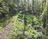 TBD Dutch Hollow Road, Weston, West Virginia 26452, 0 , 0 ,0,Lots/land,For Sale,Dutch Hollow,0,10166977