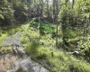 TBD Dutch Hollow Road, Weston, West Virginia 26452, 0 , 0 ,0,Lots/land,For Sale,Dutch Hollow,0,10166977
