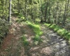 TBD Dutch Hollow Road, Weston, West Virginia 26452, 0 , 0 ,0,Lots/land,For Sale,Dutch Hollow,0,10166977