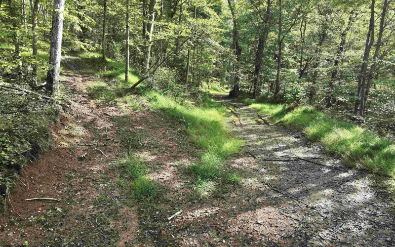 TBD Dutch Hollow Road, Weston, West Virginia 26452, 0 , 0 ,0,Lots/land,For Sale,Dutch Hollow,0,10166977