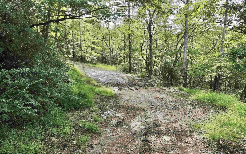 TBD Dutch Hollow Road, Weston, West Virginia 26452, 0 , 0 ,0,Lots/land,For Sale,Dutch Hollow,0,10166977