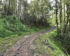 TBD Dutch Hollow Road, Weston, West Virginia 26452, 0 , 0 ,0,Lots/land,For Sale,Dutch Hollow,0,10166977