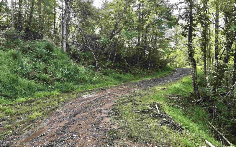 TBD Dutch Hollow Road, Weston, West Virginia 26452, 0 , 0 ,0,Lots/land,For Sale,Dutch Hollow,0,10166977