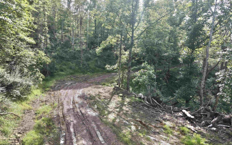 TBD Dutch Hollow Road, Weston, West Virginia 26452, 0 , 0 ,0,Lots/land,For Sale,Dutch Hollow,0,10166977