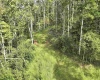 TBD Dutch Hollow Road, Weston, West Virginia 26452, 0 , 0 ,0,Lots/land,For Sale,Dutch Hollow,0,10166977