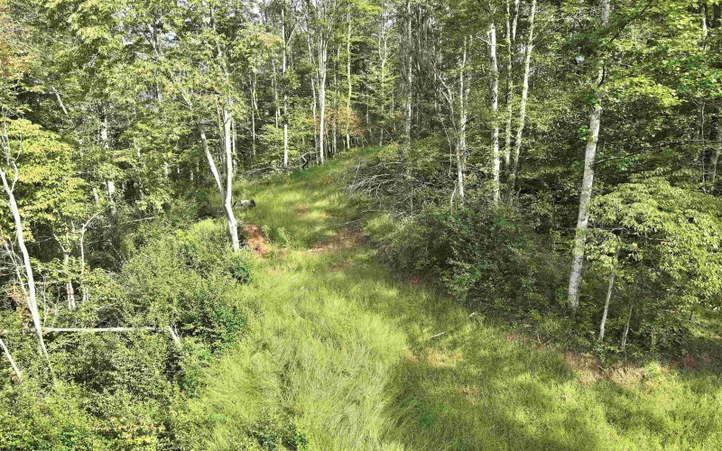TBD Dutch Hollow Road, Weston, West Virginia 26452, 0 , 0 ,0,Lots/land,For Sale,Dutch Hollow,0,10166977